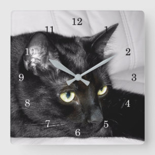 Relógio Quadrado Retrato de Gato Preto Cinto