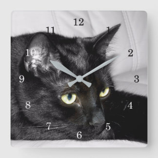 Relógio Quadrado Retrato de Gato Preto Fofo