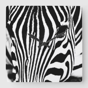 Relógio Quadrado Retrato zebra preto e branco