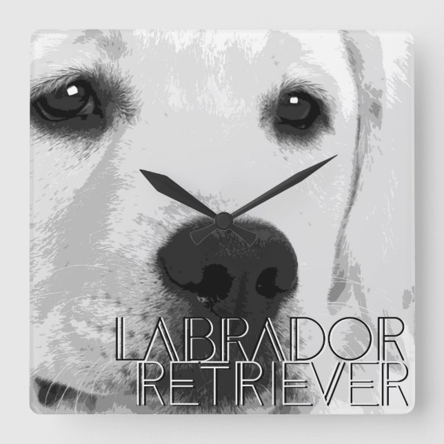 Relógio Quadrado Retriever de Rabrador (Frente)