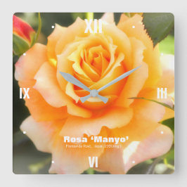 Relógio Quadrado Rosa ‘Manyo’:Acrylic Wall Clock