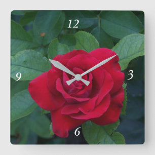 Relógio Quadrado Rosa Vermelha de Perto