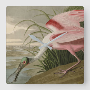 Relógio Quadrado Roseate Spoonbill, das Aves da América de Audubon