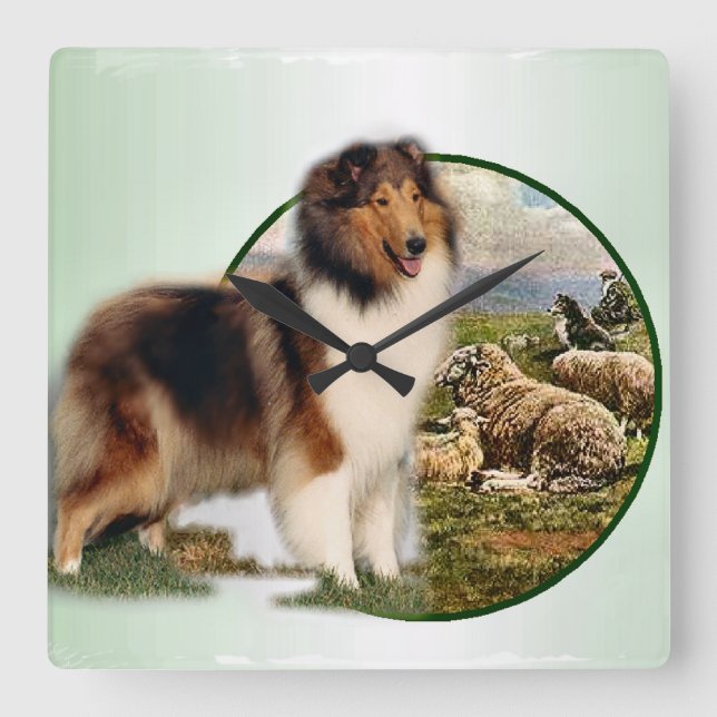 Relógio Quadrado Rough Collie Keeper da ovelha (Frente)