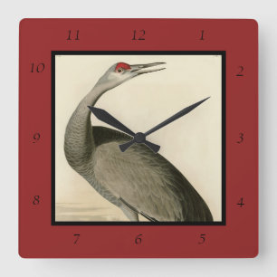 Relógio Quadrado Sandhill Crane das Aves da América de Audubon