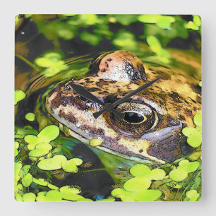 RELÓGIO QUADRADO SAPO