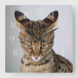 Relógio Quadrado Savannah Cat