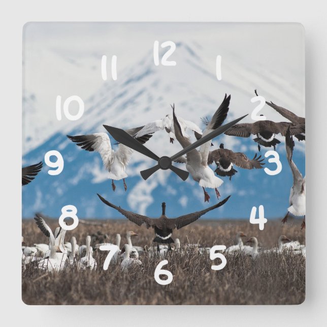 Relógio Quadrado Scattering Geese (Frente)
