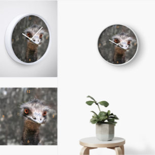 Relógio Quadrado Scruffy Ole Bird, Emu.