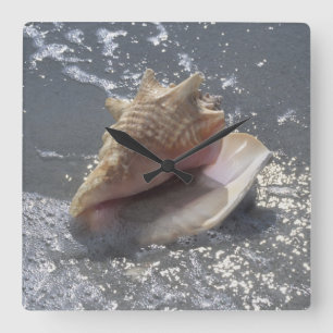 Relógio Quadrado Seashell na ilha da praia Sanibel, Florida