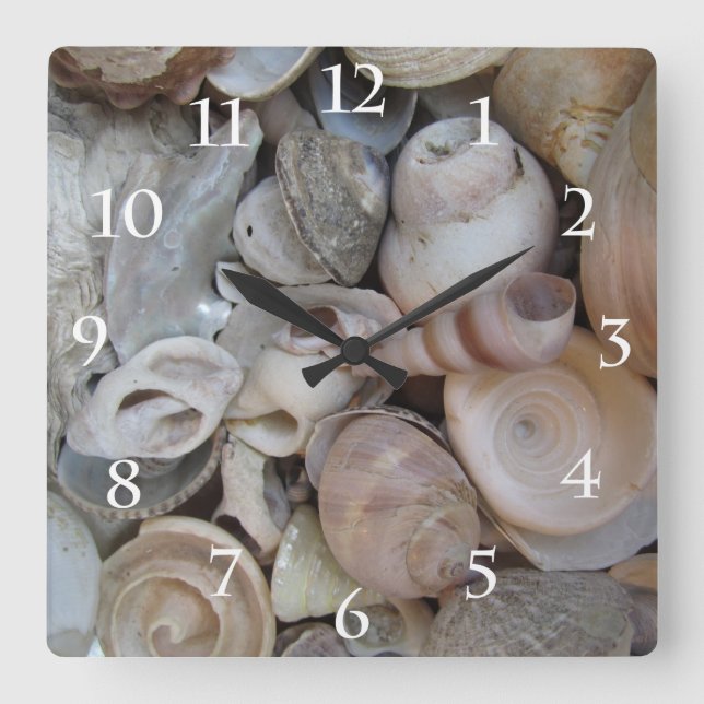 Relógio Quadrado Seashells (Frente)