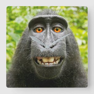 Relógio Quadrado Selfie de Macaco