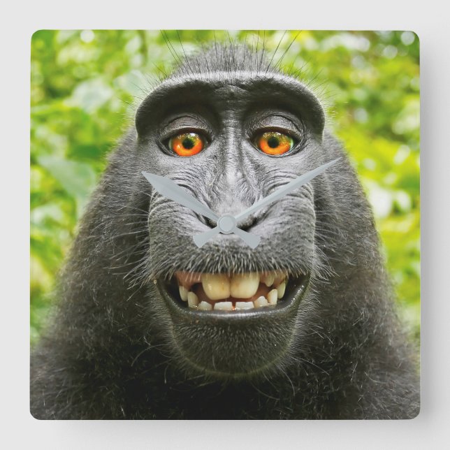 Relógio Quadrado Selfie de Macaco (Frente)