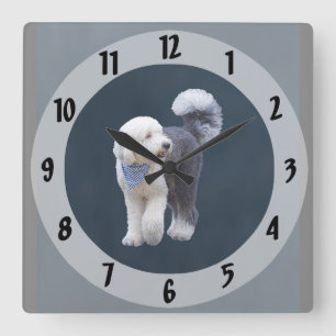 Relógio Quadrado Sheepadoodle Com Cachecol Xadrez Azul