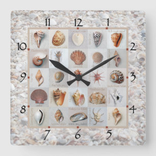 Relógio Quadrado Shell Beach Clock