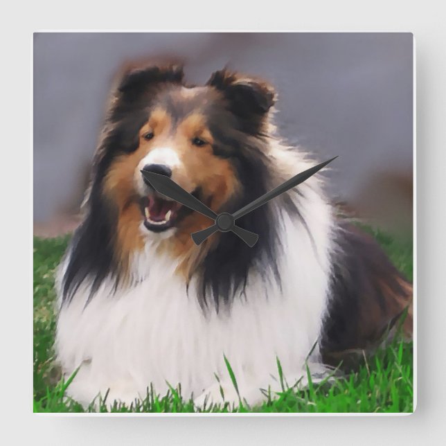 Relógio Quadrado Shetland Sheepdog Art (Frente)