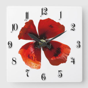Relógio Quadrado Single red poppy flower