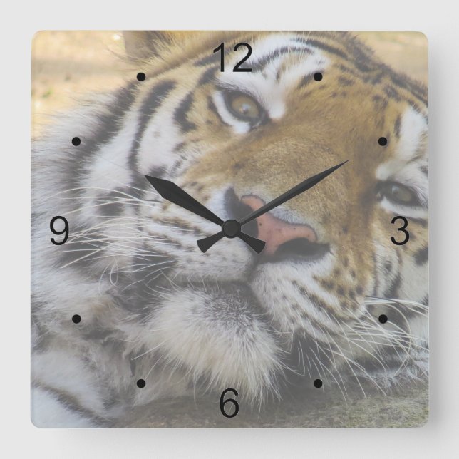 Relógio Quadrado Sleepy Tiger (Frente)