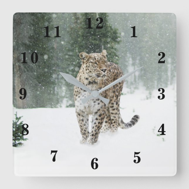 Relógio Quadrado Snow Lepard (Frente)