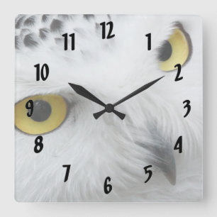 Relógio Quadrado Snow Owl