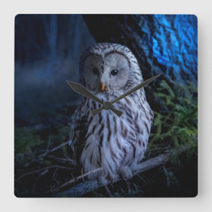 Relógio Quadrado Snowy Owl à noite