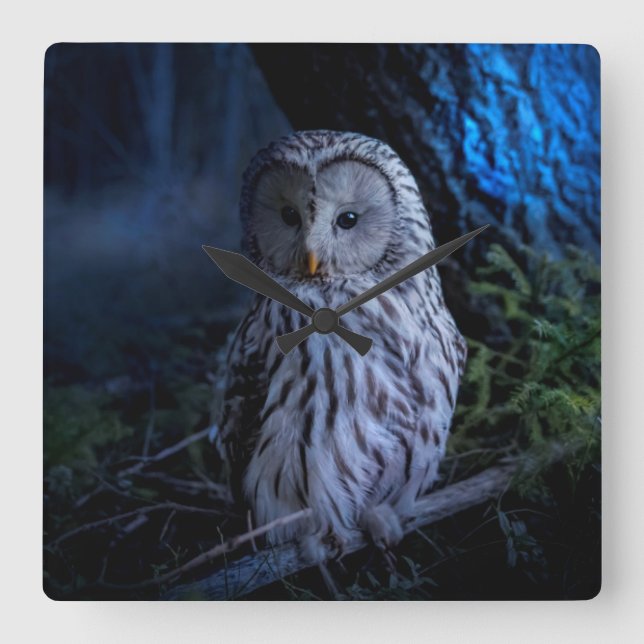 Relógio Quadrado Snowy Owl à noite (Frente)