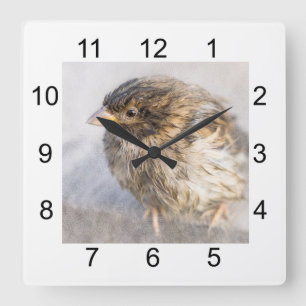 Relógio Quadrado Sparrow - Falha Epic Previsão do Tempo