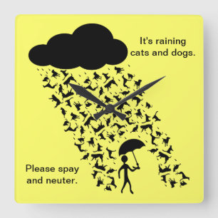 Relógio Quadrado "Spay e neutralize" o pulso de disparo de parede