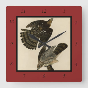 Relógio Quadrado Stanley (Cooper's) Hawk Audubon's Birds of America