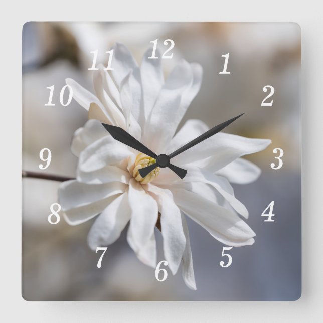 Relógio Quadrado Star Magnolia Bloom Wall Clock (Frente)