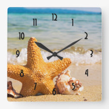 Starfish e Seashells na praia