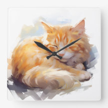 TABELA DE LARANJA DE ÁGUA bonito, COM MOSCA