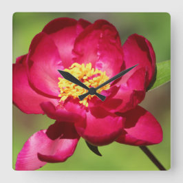 Relógio Quadrado Tendência Rosa Quente