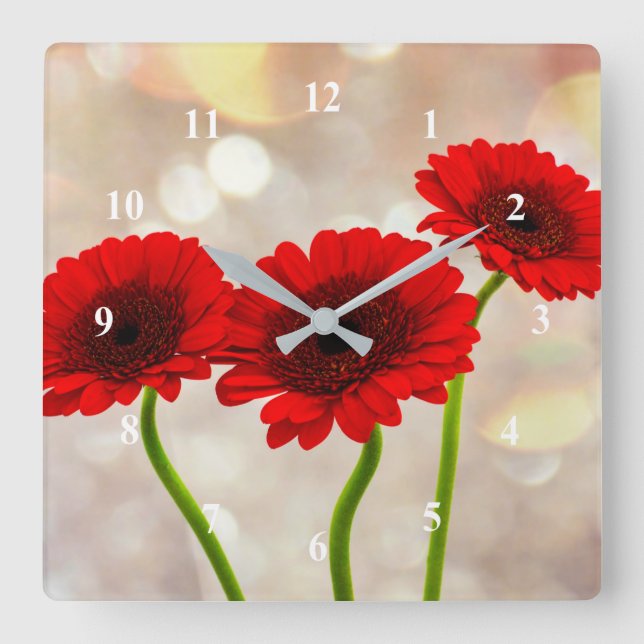Relógio Quadrado Three Little Red Gerberas Acrylic wall clock (Frente)