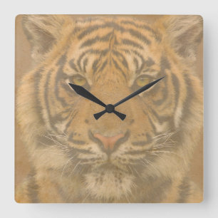 Relógio Quadrado Tiger Wall Clock