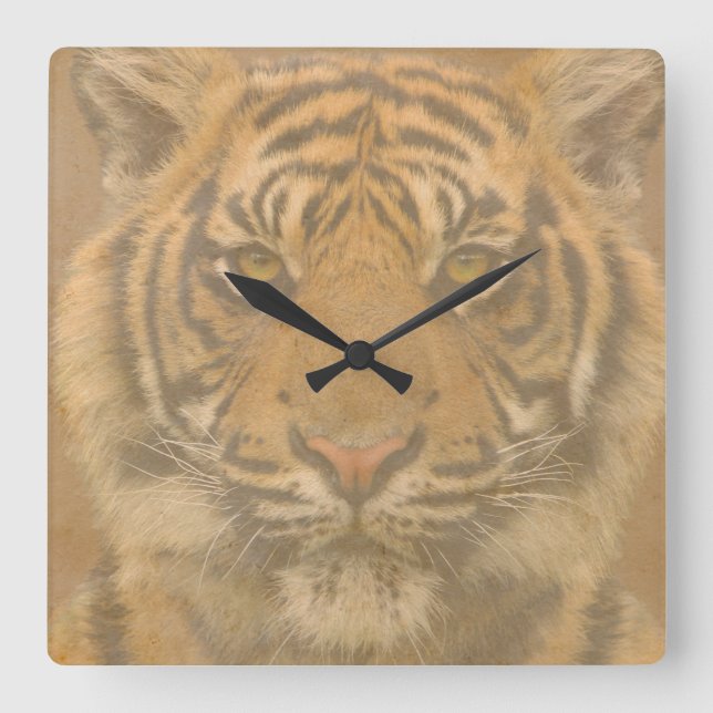 Relógio Quadrado Tiger Wall Clock (Frente)