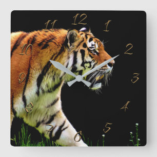 Relógio Quadrado Tigre