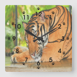 Relógio Quadrado Tigre de dormir