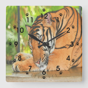 Relógio Quadrado Tigre de dormir