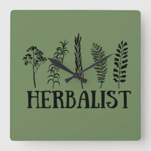 Relógio Quadrado Tipos de herbais herbalistas