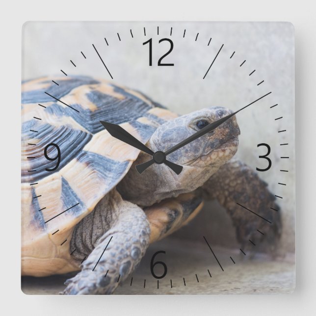 Relógio Quadrado Tortoise (Frente)