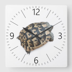 Relógio Quadrado Tortoise