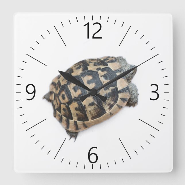 Relógio Quadrado Tortoise (Frente)