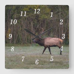 Relógio Quadrado Touro Elk Morning Walk Wall Clock
