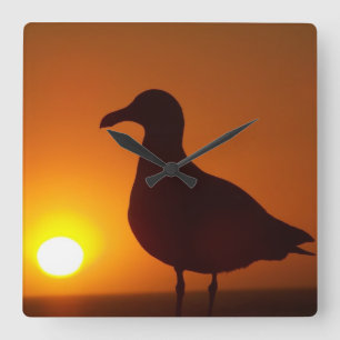 Relógio Quadrado Tranquilidade_Relógio de Parede