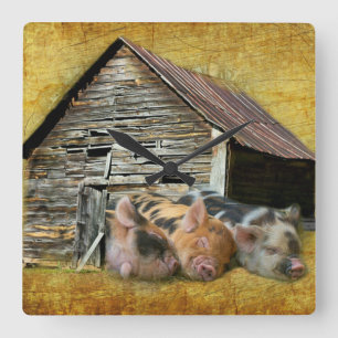 Relógio Quadrado Três Pequenos Porcos No Barão Russo Narrando