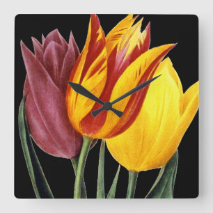 Relógio Quadrado Tulipa (Tulipa Gesneriana)