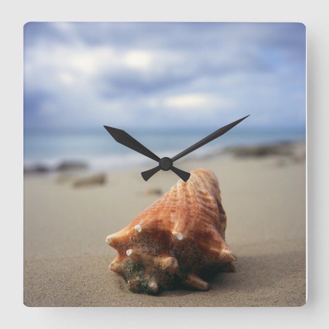 Relógio Quadrado Um Conch Shell Na Praia | Ruas Croix, Usvi (Frente)
