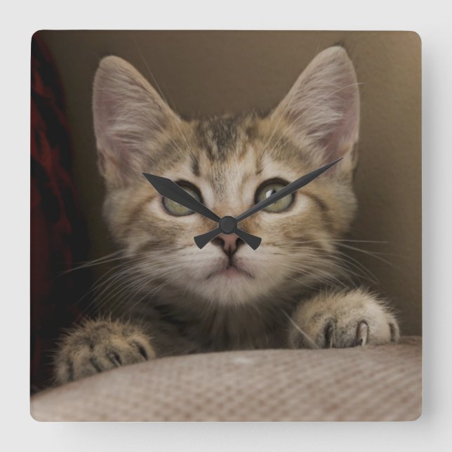 Relógio Quadrado Um gatinho muito doce do gato malhado (Frente)