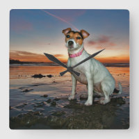 Uma praia de assento da praia | Brigghton de Jack